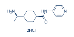 Y27632 2hcl结构式