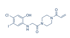 K-Ras(G12C) inhibitor 12结构式