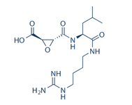 E-64结构式